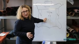 Топология кожи, топология шкур. Как делят натуральную кожу на заводе. Как выбрать кожу для изделий
