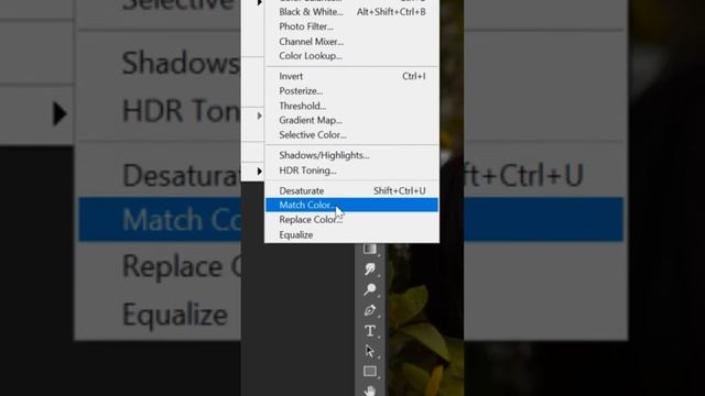 Кради цвета в Фотошопе за 15 секунд смотреть онлайн