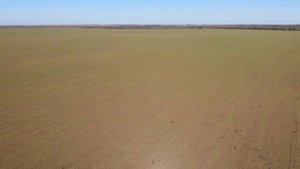 Обследование полей дроном