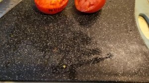 Дегустация + разрез томата сорта Знаменитая клубника миссис Шлаубах