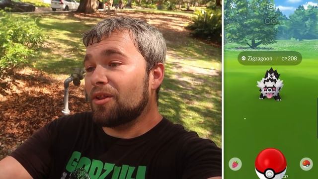 DOUBLE SHINY GALARIAN ZIGZAGOON LUCK! OVER 100 CHECKS! (Pokemon GO) смотреть онлайн