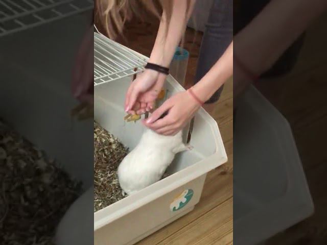 12 января 2024 г. смотреть онлайн