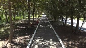 Мелиховский санаторий и вокруг него 11 июня 2012 Усть-Донецкий район Ростовская область