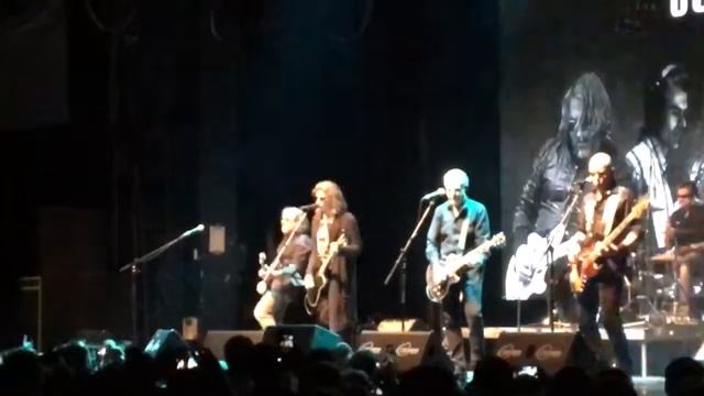 СерьГа в GLAVCLUB GREEN CONCERT "Сказочный лес" смотреть онлайн