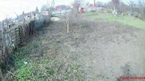 Как пересадить дерево на другое место и не загубить его