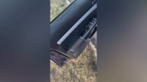 Обзор Skoda Octavia А5 2006 1.6 MPI