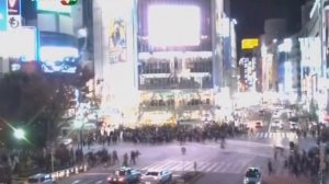 Эффект толпы - Основной инстинкт