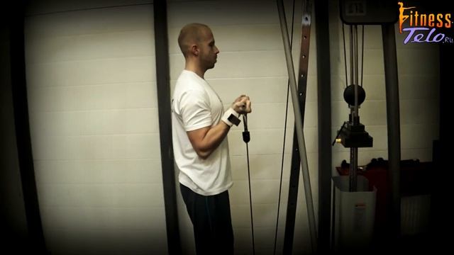 СГИБАНИЕ РУК НА БИЦЕПС НА НИЖНЕМ БЛОКЕ // упражнения для тренажерного зала смотреть онлайн