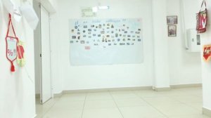 Fimi X8 SE режим VPU