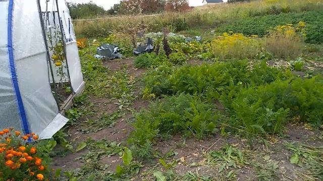 Заливка ленточного  фундамента для бани. #строительство,#строительствобани,#фундаментдлябани.