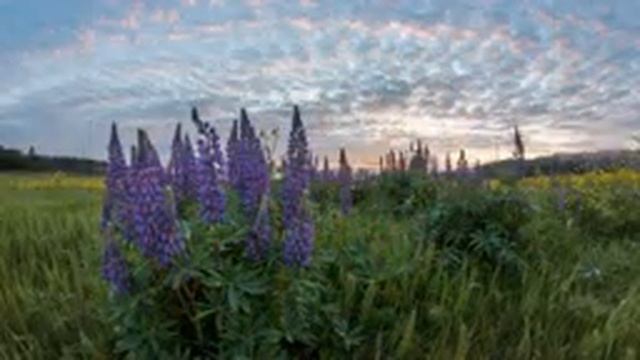 А. Бородин. Опера "КНЯЗЬ ИГОРЬ" (Ария Игоря - Дм. Хворостовский) - Фото Игоря Горшкова (Москва) смотреть онлайн