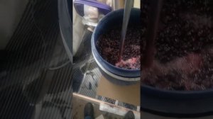 Мешалка (ПИЖОР) для винограда