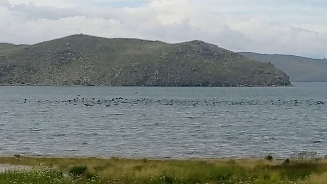 Байкал. малое море. бакланы смотреть онлайн