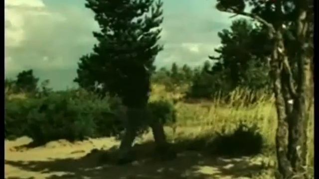 Штоколов.mov смотреть онлайн