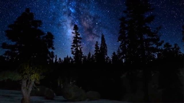 Краткая биография жизни Пророка Мухаммеда ﷺ смотреть онлайн