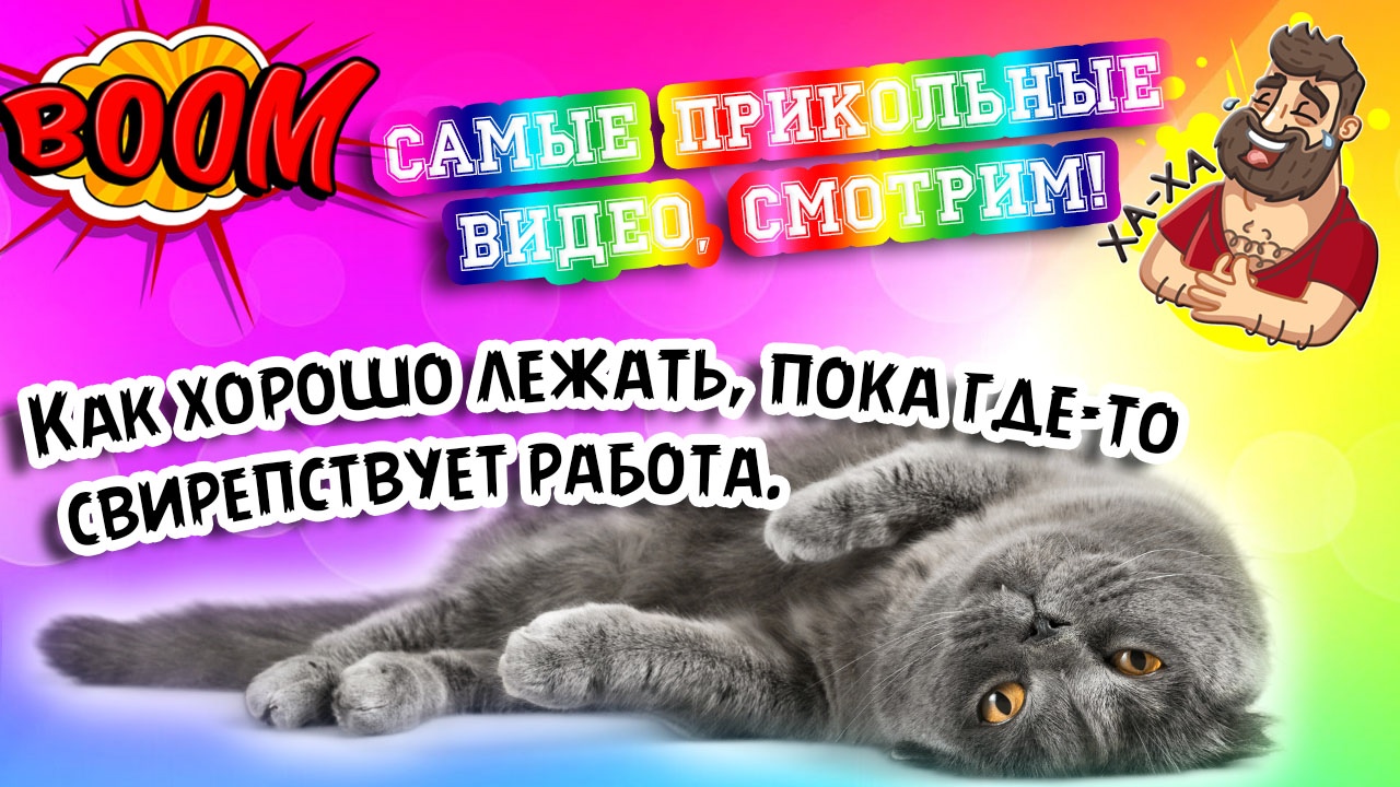 Приколы 2022
