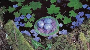 ЛЭНД АРТ ИСКУССТВО И ПРИРОДА (LAND ART ART AND NATURE)