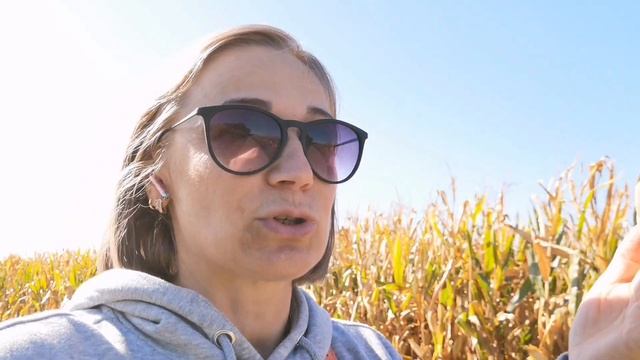 Влог??Плохой интернет в Германии?Вкусный завтрак?Закупка/17/10/23#влог #закупка#распаковка#посылка смотреть онлайн