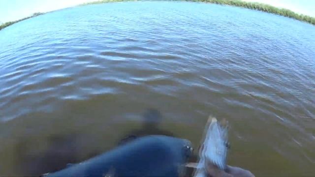 Ока рыбалка на спиннинг с лодки. Ловля хищника