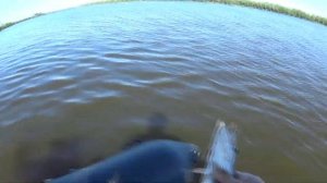 Ока рыбалка на спиннинг с лодки. Ловля хищника