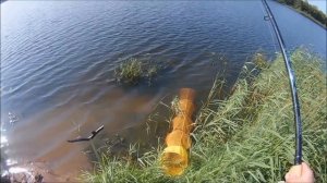 Рыбалка в Лен .обл .на р. Луга д. Манновка