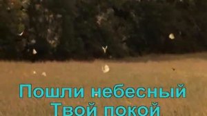 Гимны Надежды - 120. Умолкни суета забот