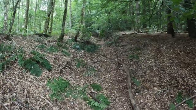 Wansdyke Part 1: Strange Things in West Woods смотреть онлайн