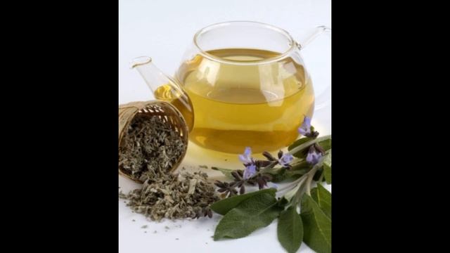 ЛЕЧЕБНЫЕ СВОЙСТВА ШАЛФЕЯ смотреть онлайн