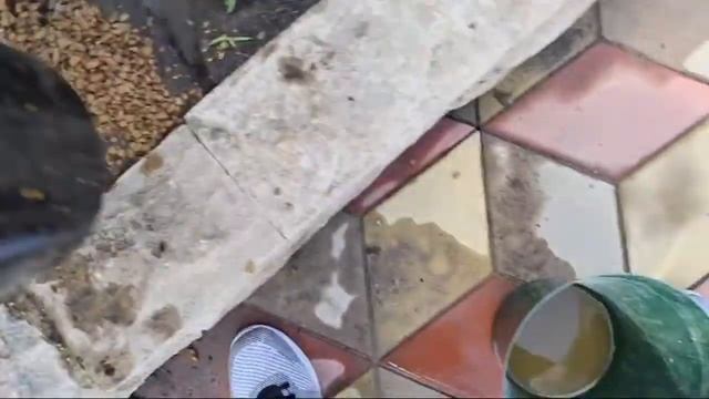 ПЕРЕСАДКА ЦИМБИДИУМА В ГРУНТ ОРХОРАЙ! смотреть онлайн