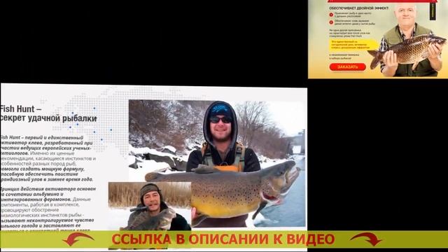 Прикормка для рыбы бешеный клев