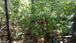 ?Старое кладбище на улице Зеленой?