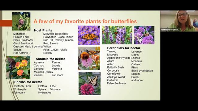 Senior Connections Lunch Presentation: Creating a Butterfly Garden смотреть онлайн
