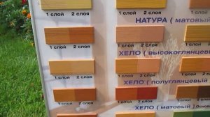 Какой антисептик и декоративную пропитку лучше купить для окраски деревянного дома