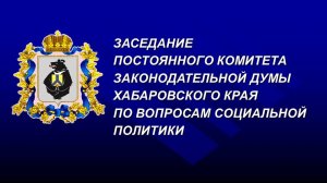 Внеочередное заседание постоянного комитета Думы по вопросам социальной политики 19.06.2024