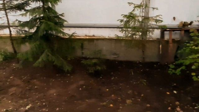 Последняя переделка в этом сезоне? смотреть онлайн