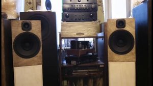 конденсаторный ящик 25 литров ноэма 100гдш47. дали тестдиск, вен волк ту зе гарден