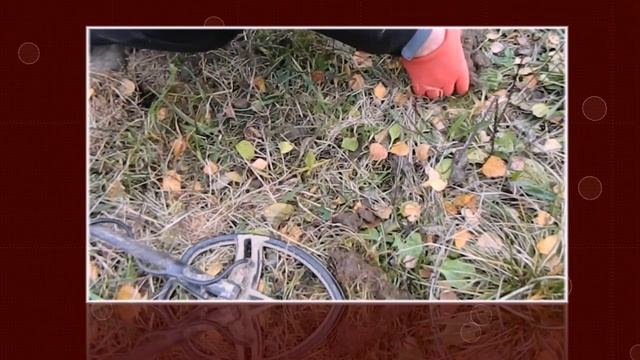 Поиск с МД АСЯ 400i/ находки золотой осени удивляют -СОЛДАТИКИ СССР