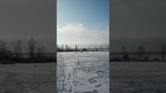 Городково рыбалка