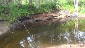 Щука и окунь в маленькой речке / Рыбалка на лесной речке!