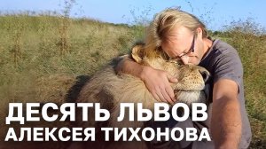 Десять львов Алексея Тихонова