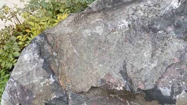 Благоустройство и озеленение двора| Ландшафтный дизайн придомовой территории