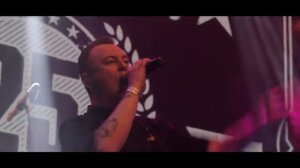 Тараканы! Вечный кайф