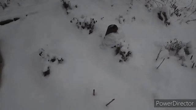 Обзор сада в Январе 2021 года смотреть онлайн