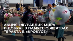 Акция "Журавлик мира и добра" в память о жертвах теракта в "Крокусе"