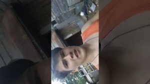 Как поймать Деревенского Петуха?