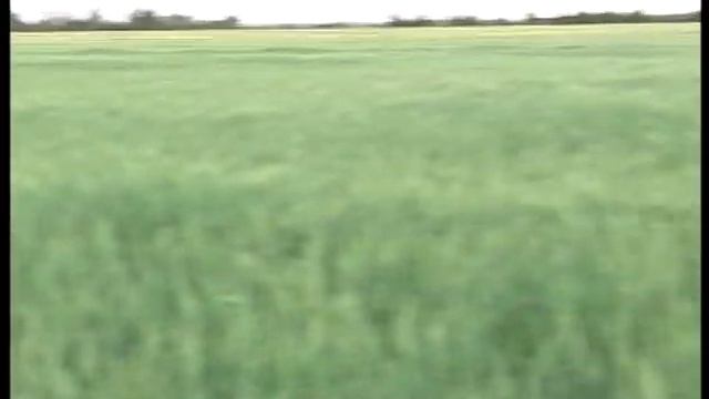 Отказ двигателя на дельталёте, инцидент. AVI. смотреть онлайн