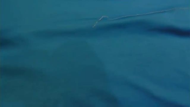 Как сделать/сшить костюм человека паука (Противостояние) #3 | How to sew a suit of human spider #3 смотреть онлайн