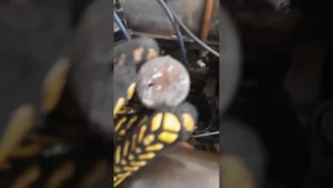 Замена водяной пробки ваз 2106 #youtube #ваз #ваз2106 #ремонт