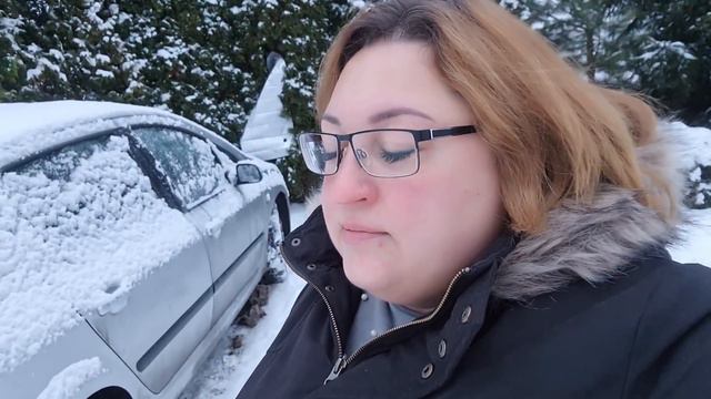 Влог 161 Почему не взяла с собой машину с Германии - дала котёнку имя - еду к т. Тани