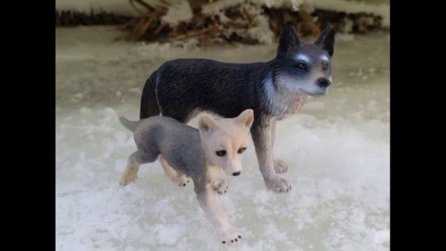 мои зимние фотографии из леса 2023 г. Январь- Февраль. смотреть онлайн